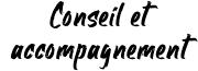 Conseil et accompagnement